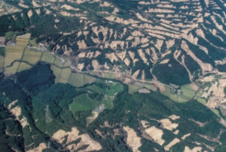 地域に根ざした仕事